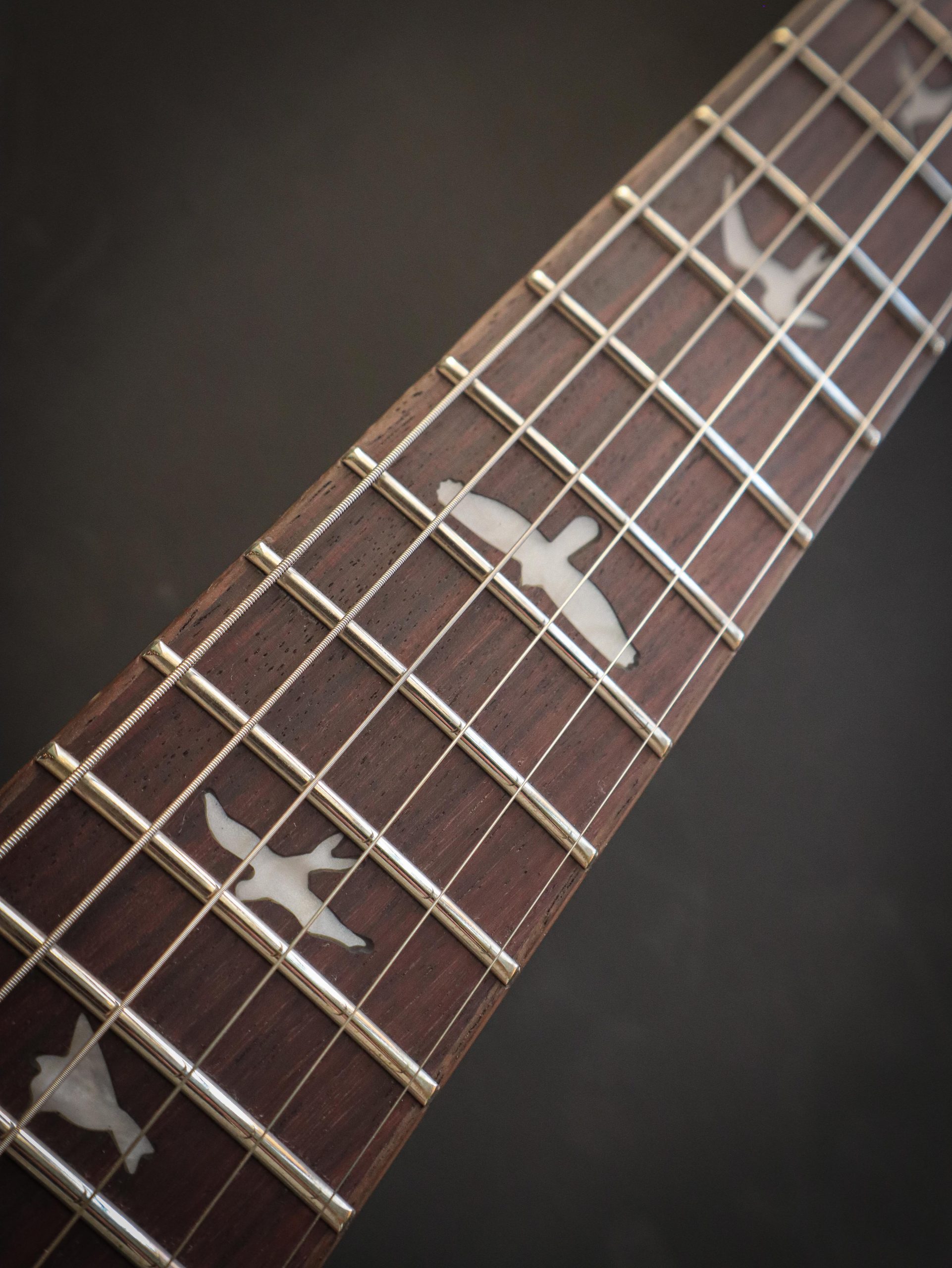 PRS SE Custom 24 Slate Blue - Afbeelding 9