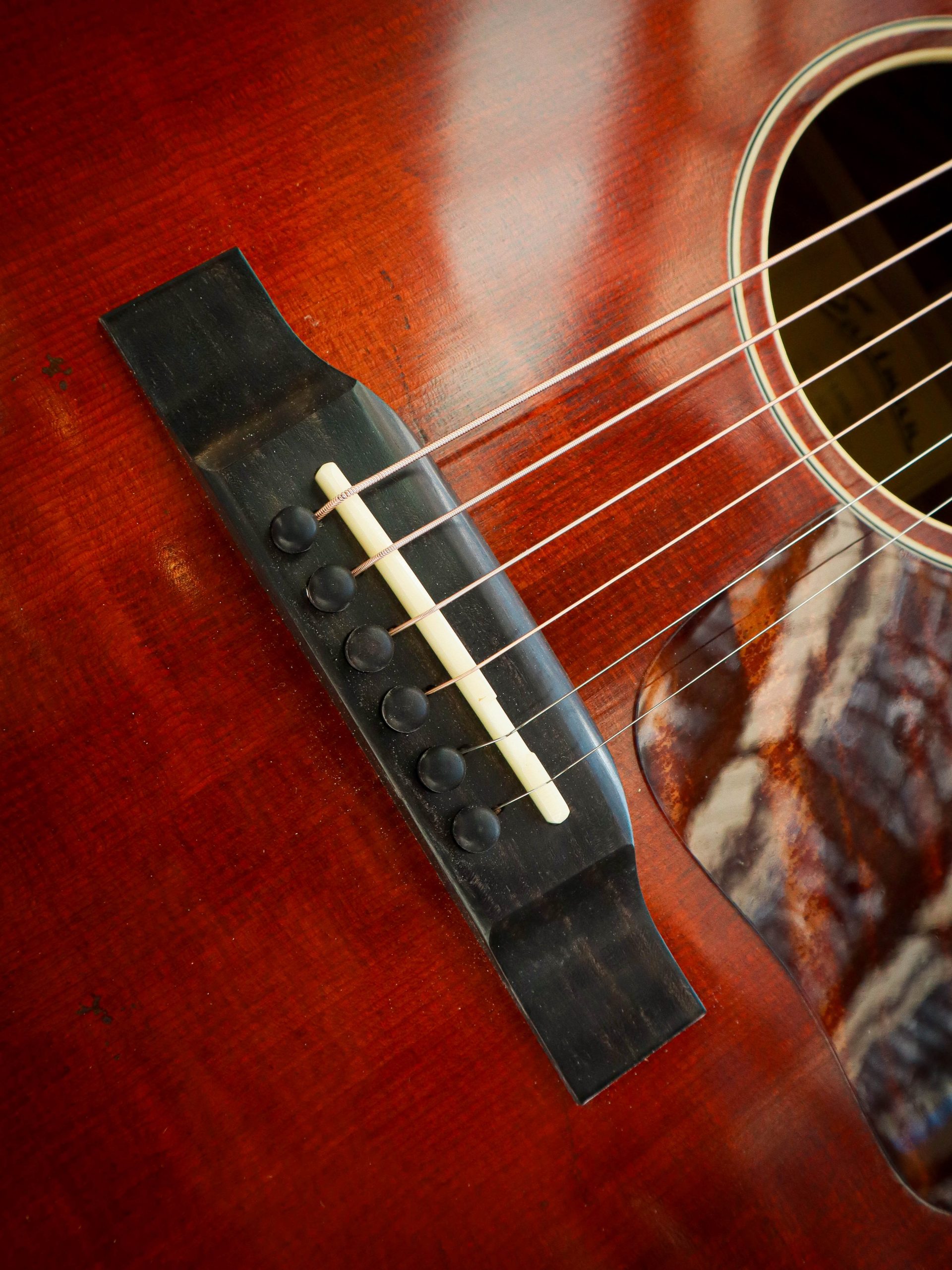 Eastman E10 SS/v - Afbeelding 7