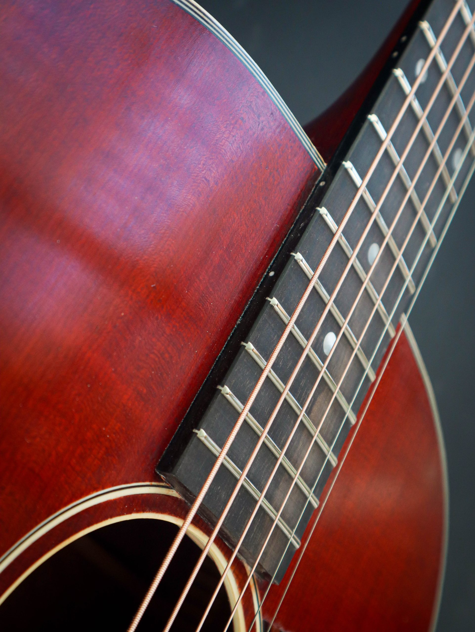 Eastman E10 SS/v - Afbeelding 9