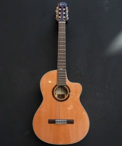 Alternative view of Faith HiGloss Lyra Nylon String