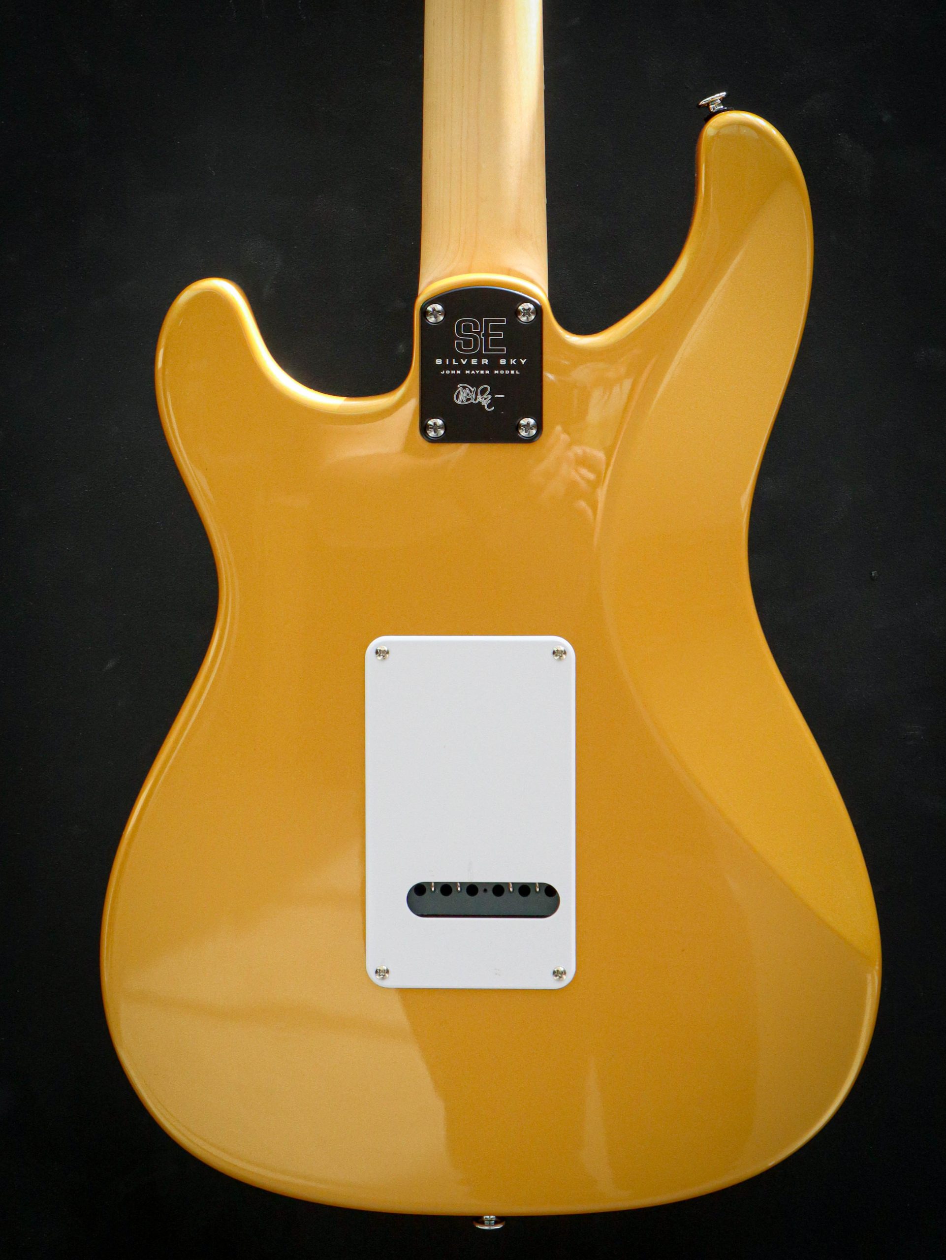 PRS John Mayer Silver Sky SE Gold Spark - Afbeelding 12