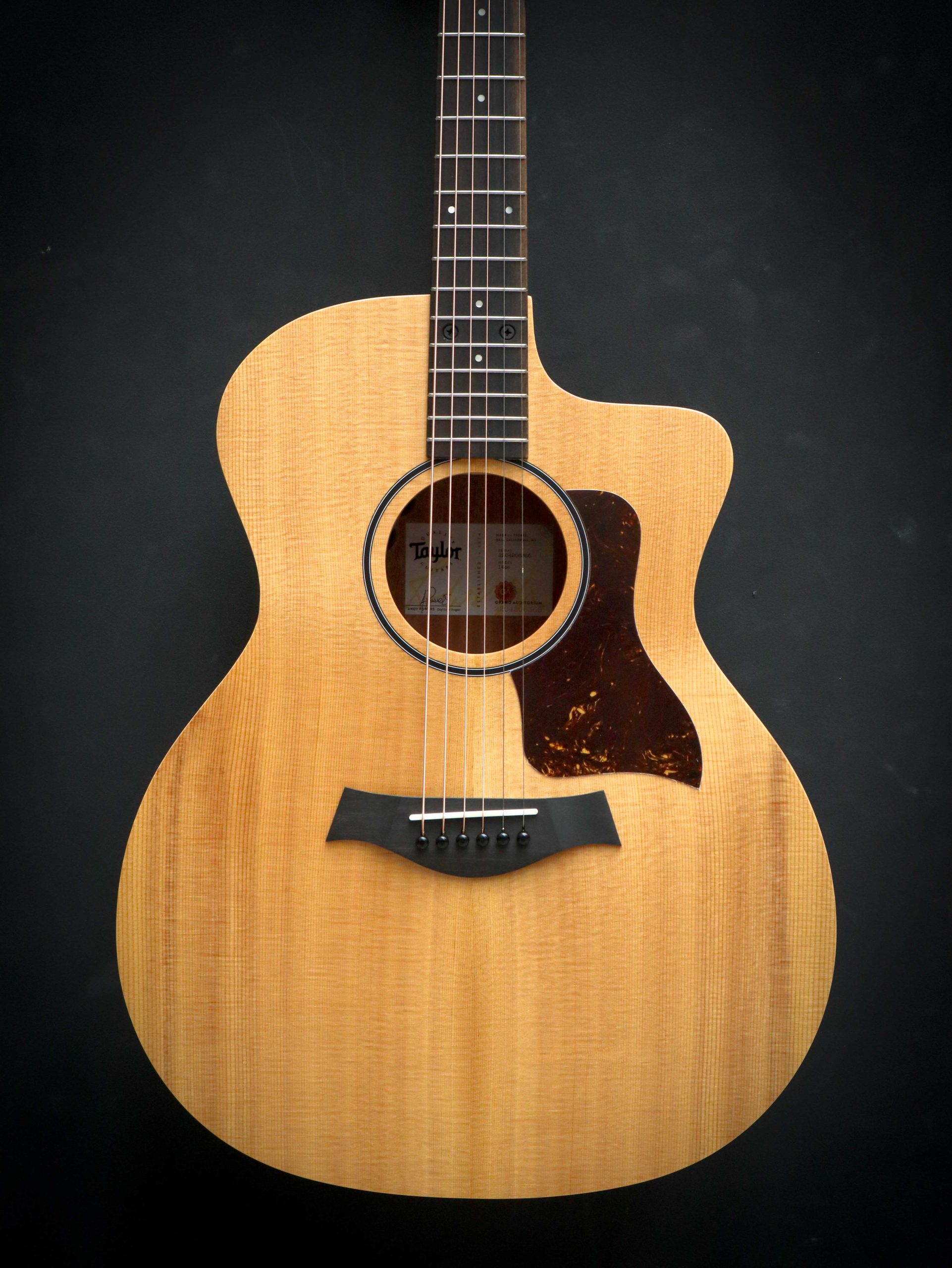 Taylor 14ce - Afbeelding 3