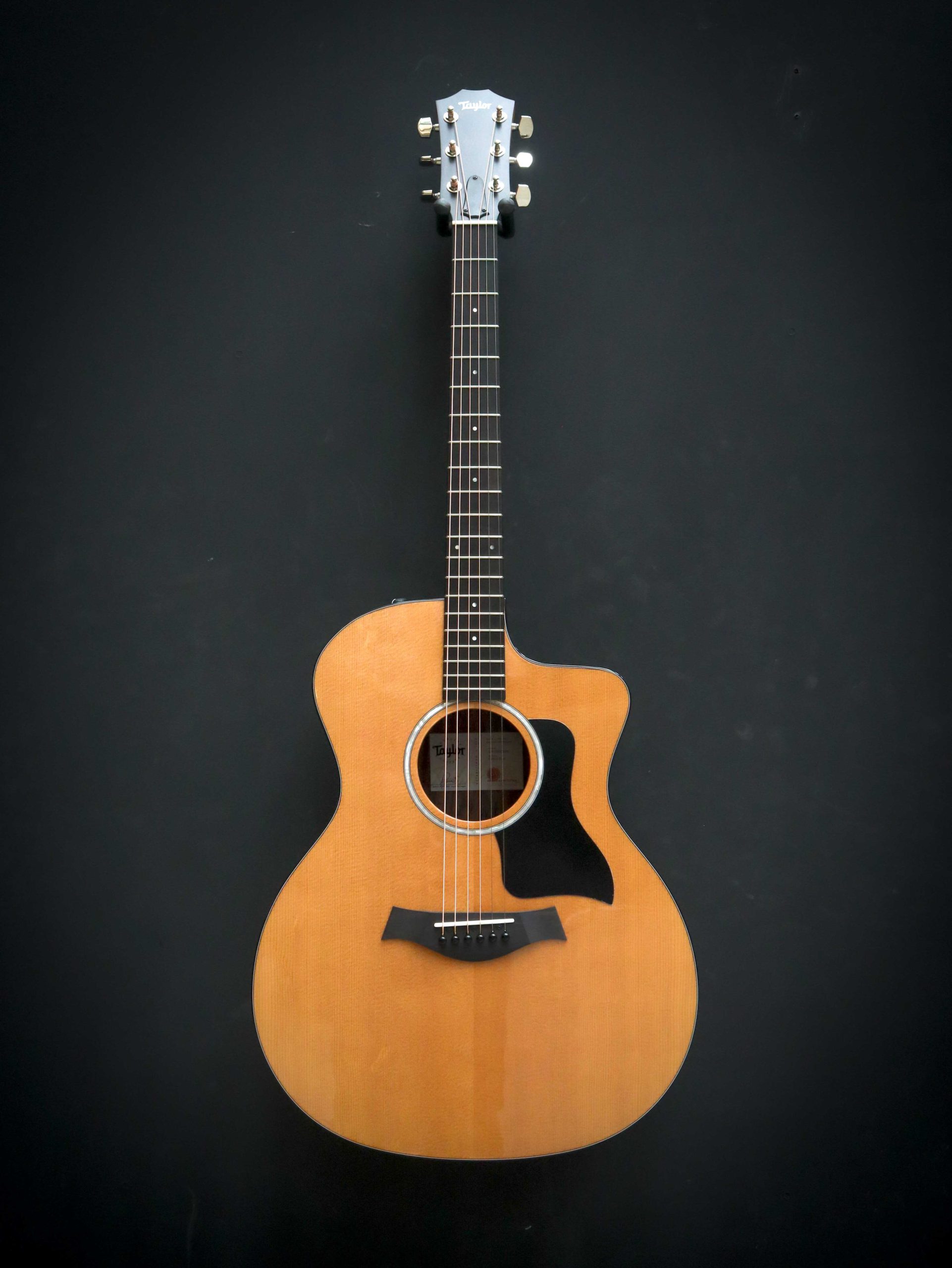 Taylor 214ce Plus - Afbeelding 2