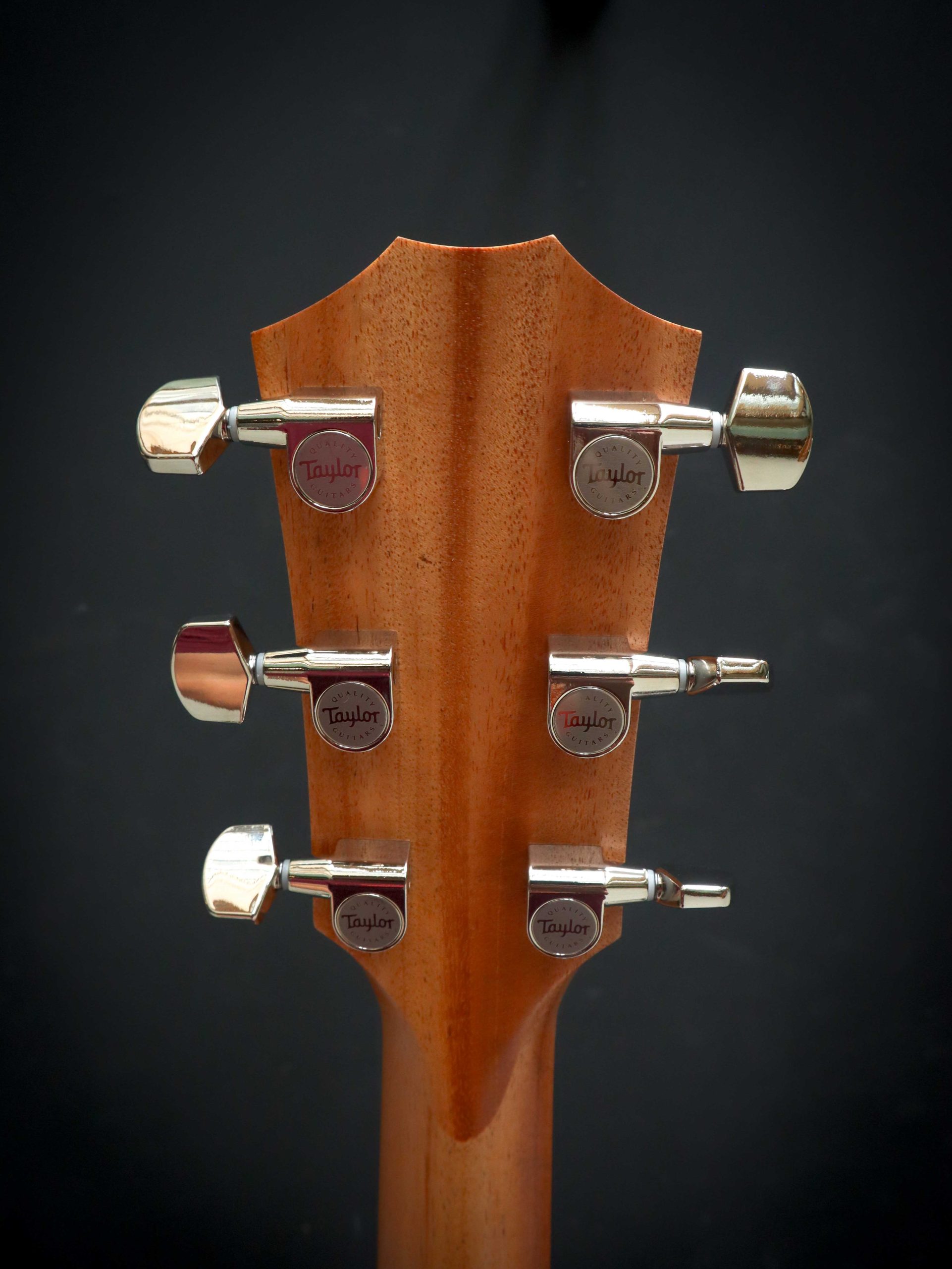 Taylor 214ce Plus - Afbeelding 10