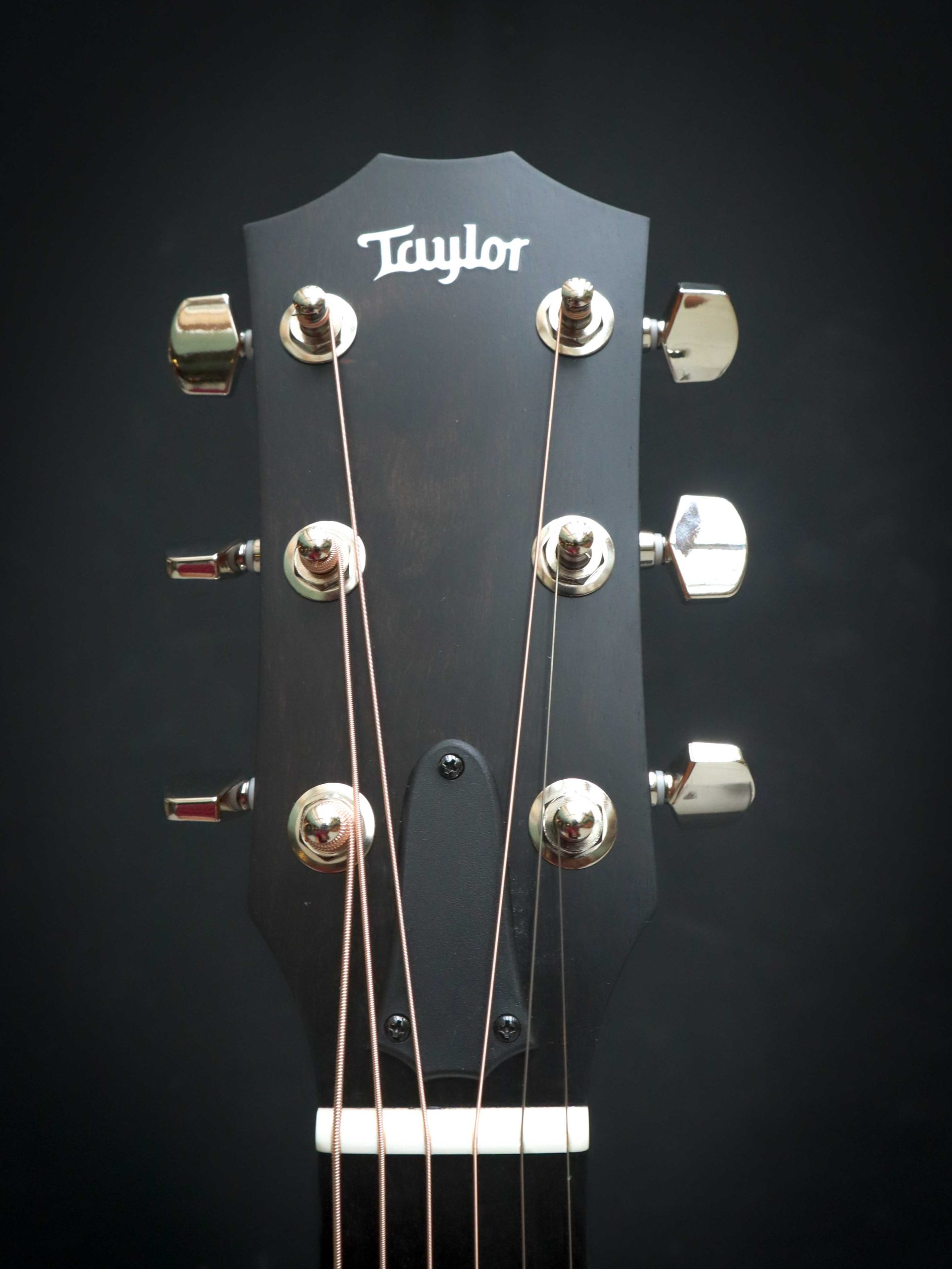 Taylor 214ce Plus - Afbeelding 9