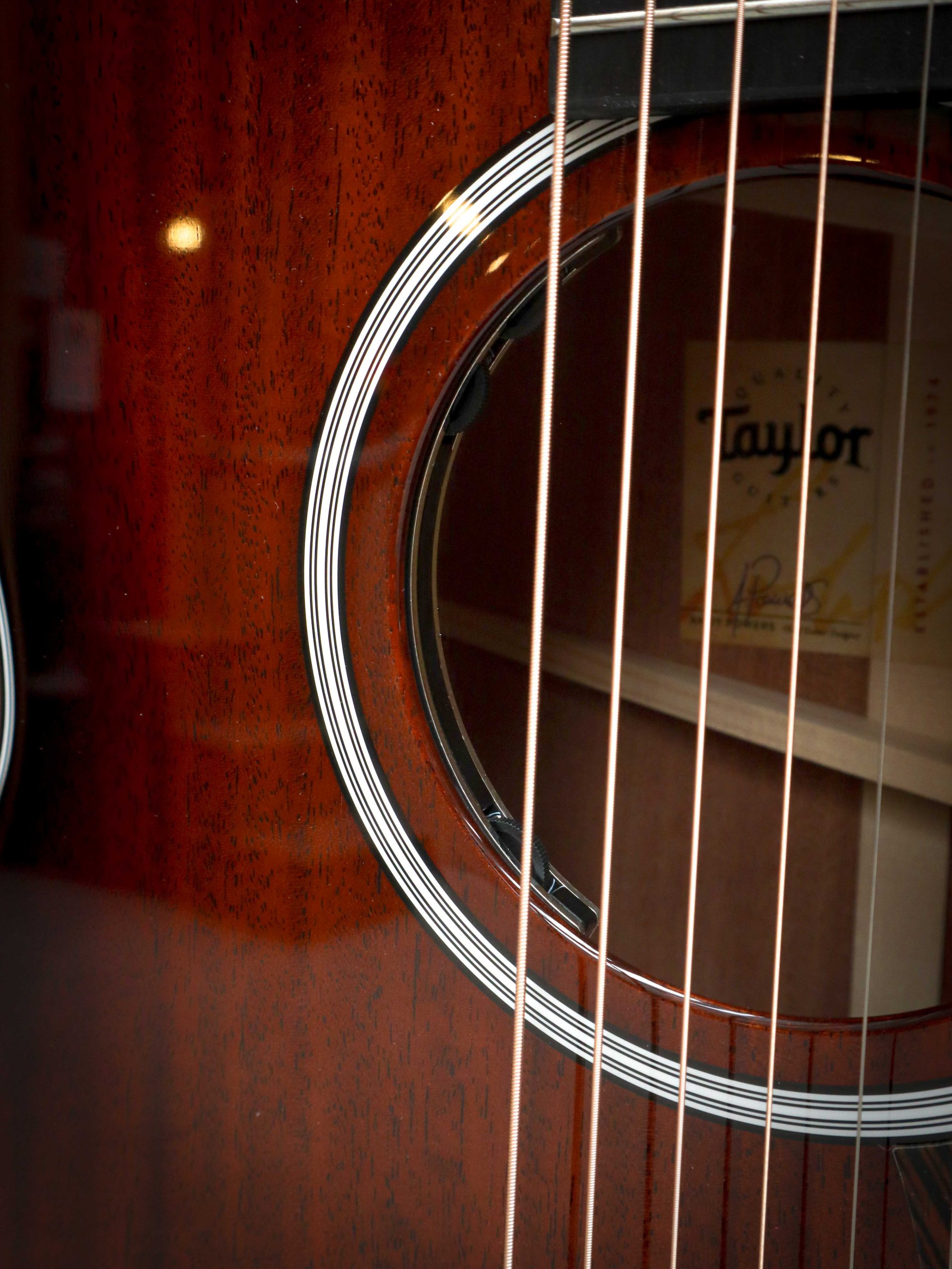 Taylor 324ce Next Generation - Afbeelding 8