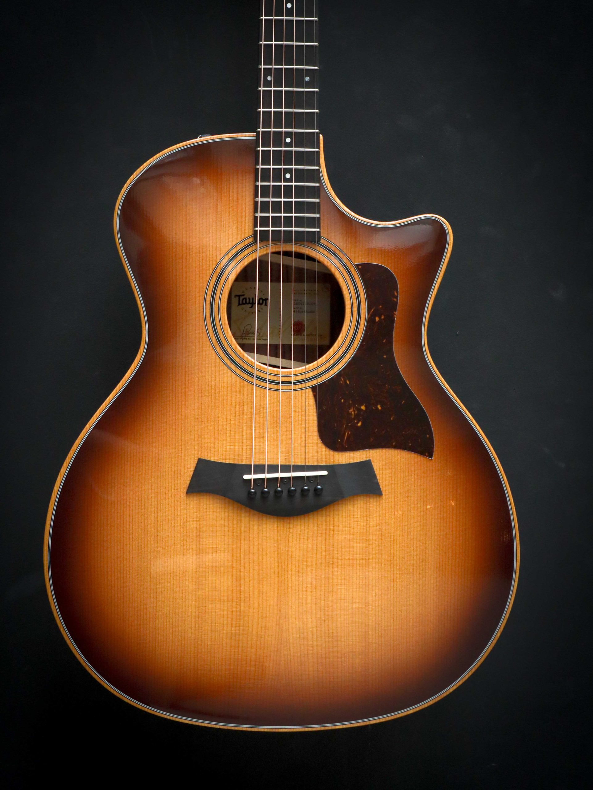 Taylor 414ce Studio - Afbeelding 3