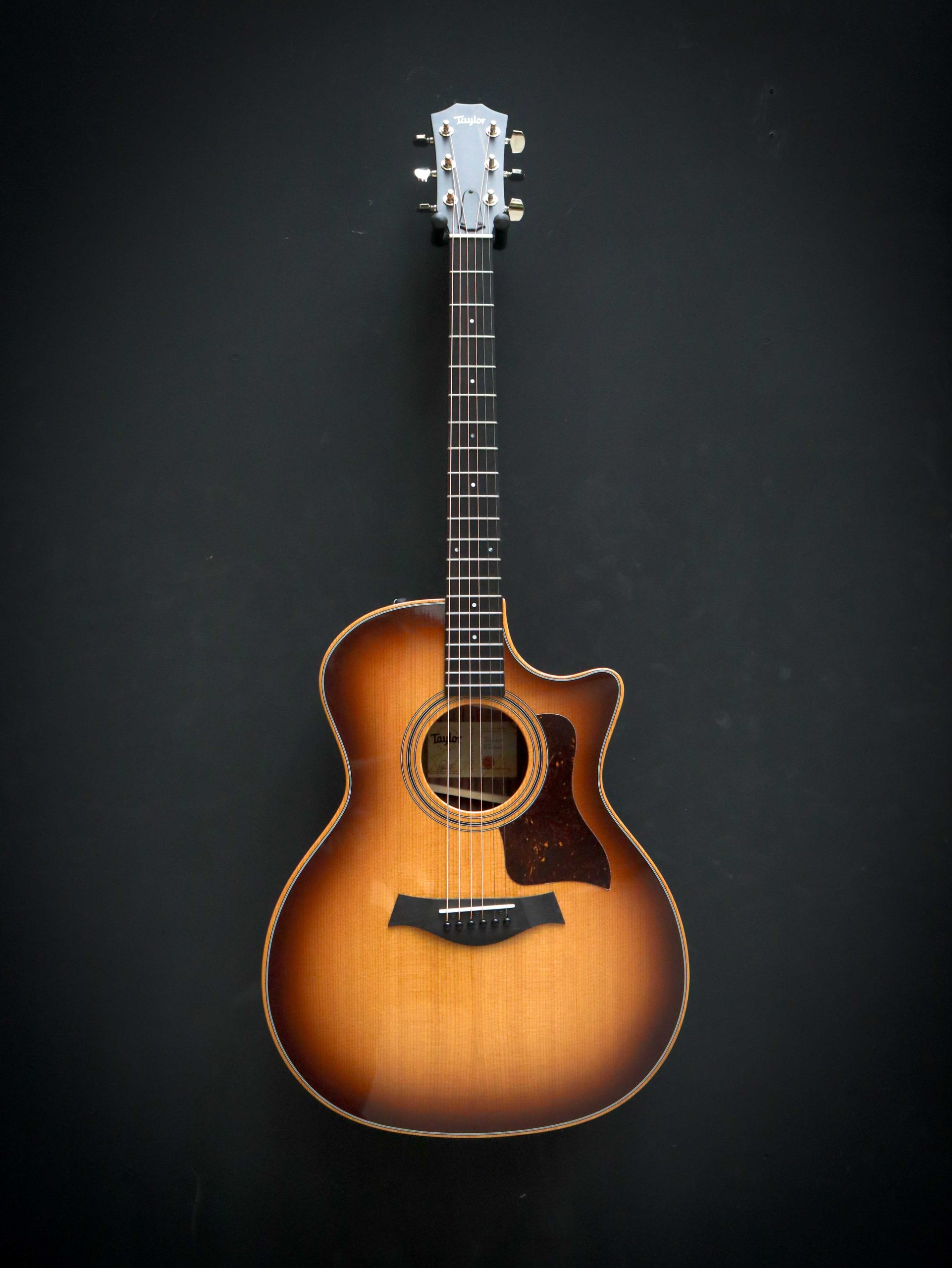 Taylor 414ce Studio - Afbeelding 2