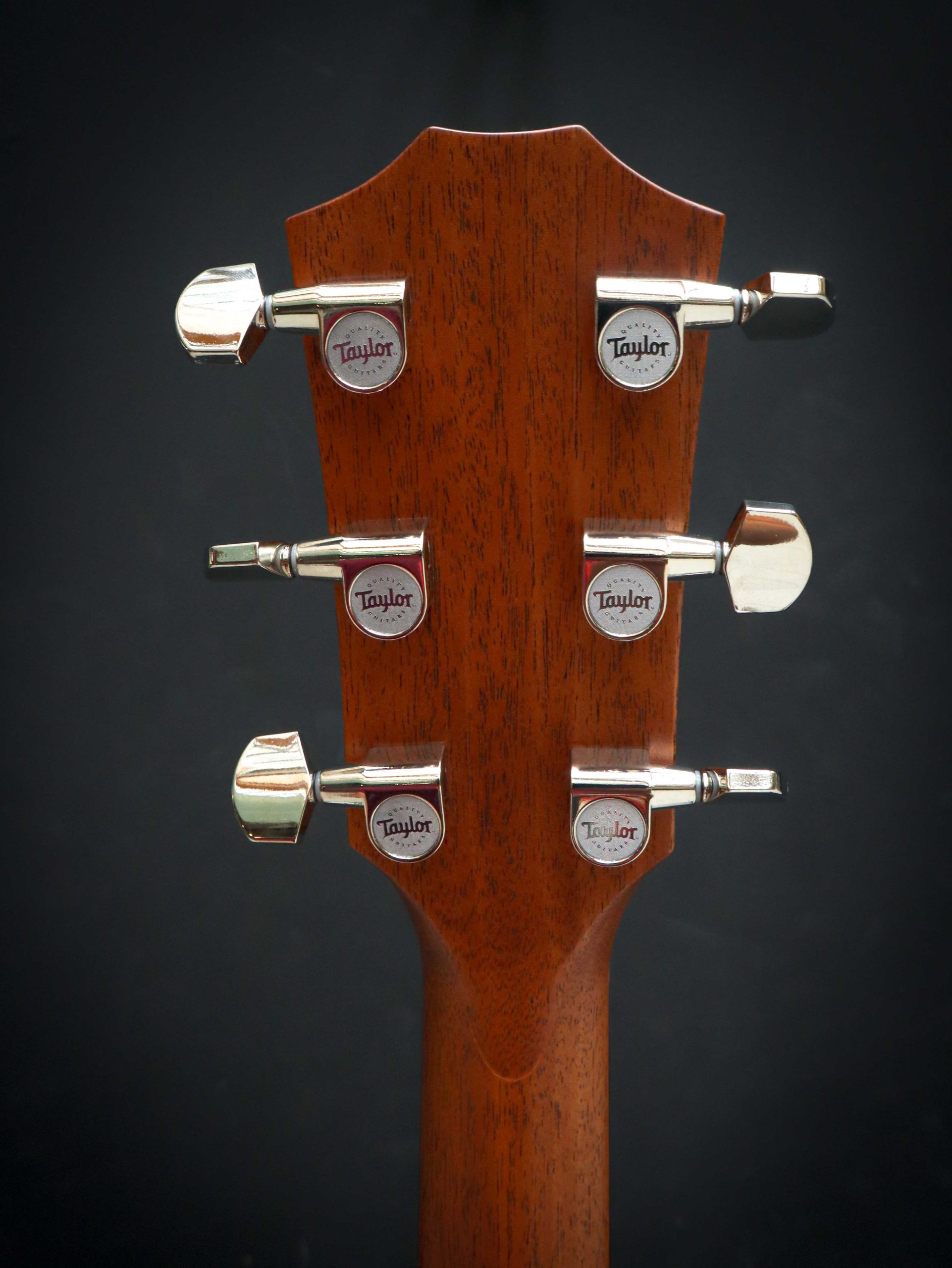 Taylor 414ce Studio - Afbeelding 10