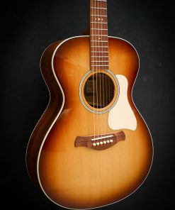 Taylor Ben Harper Gold Label 512e Special Edition - Afbeelding 5