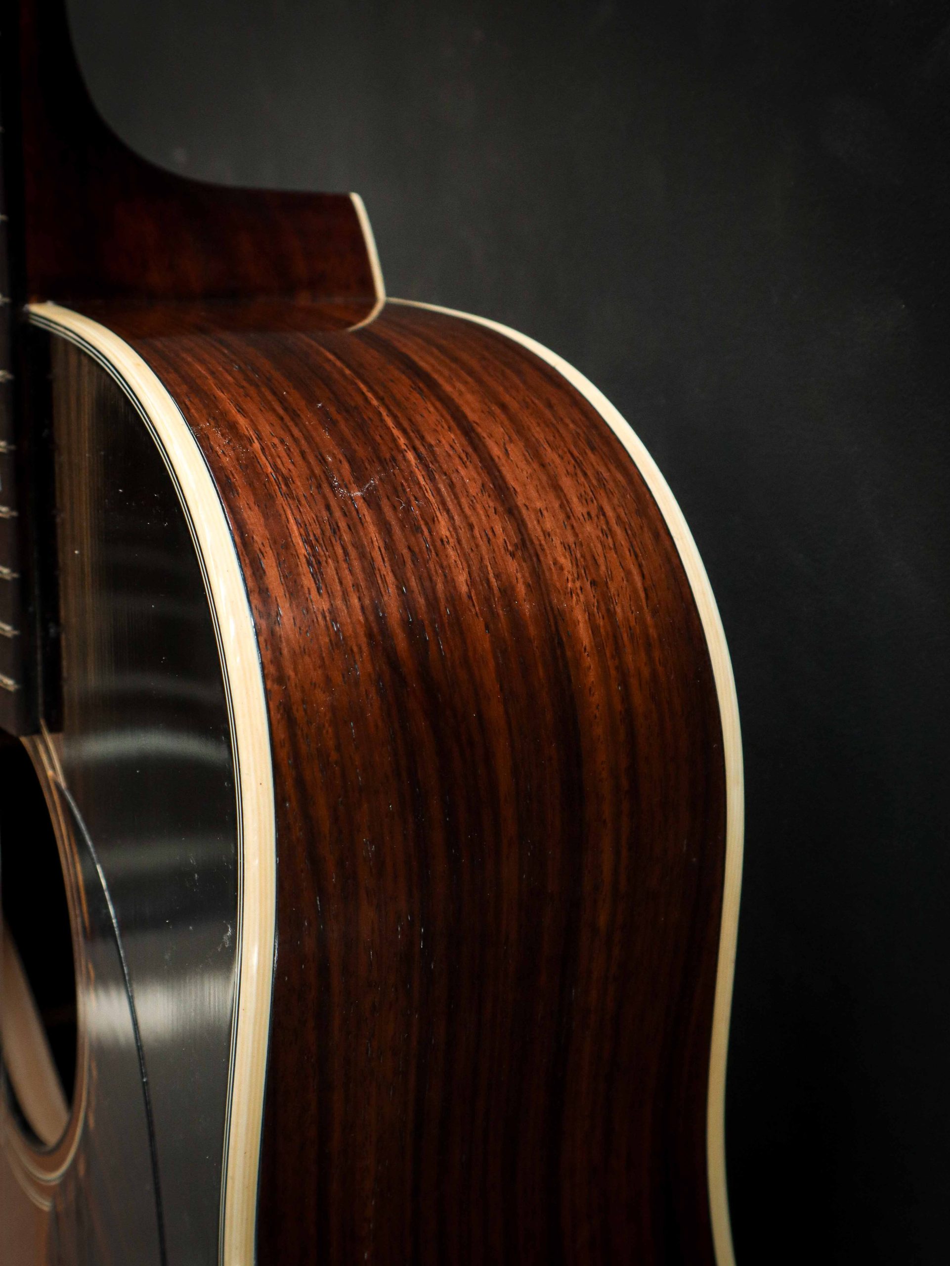 Eastman E22 SS/v - Afbeelding 10
