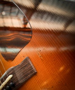 Eastman E22 SS/v - Afbeelding 8