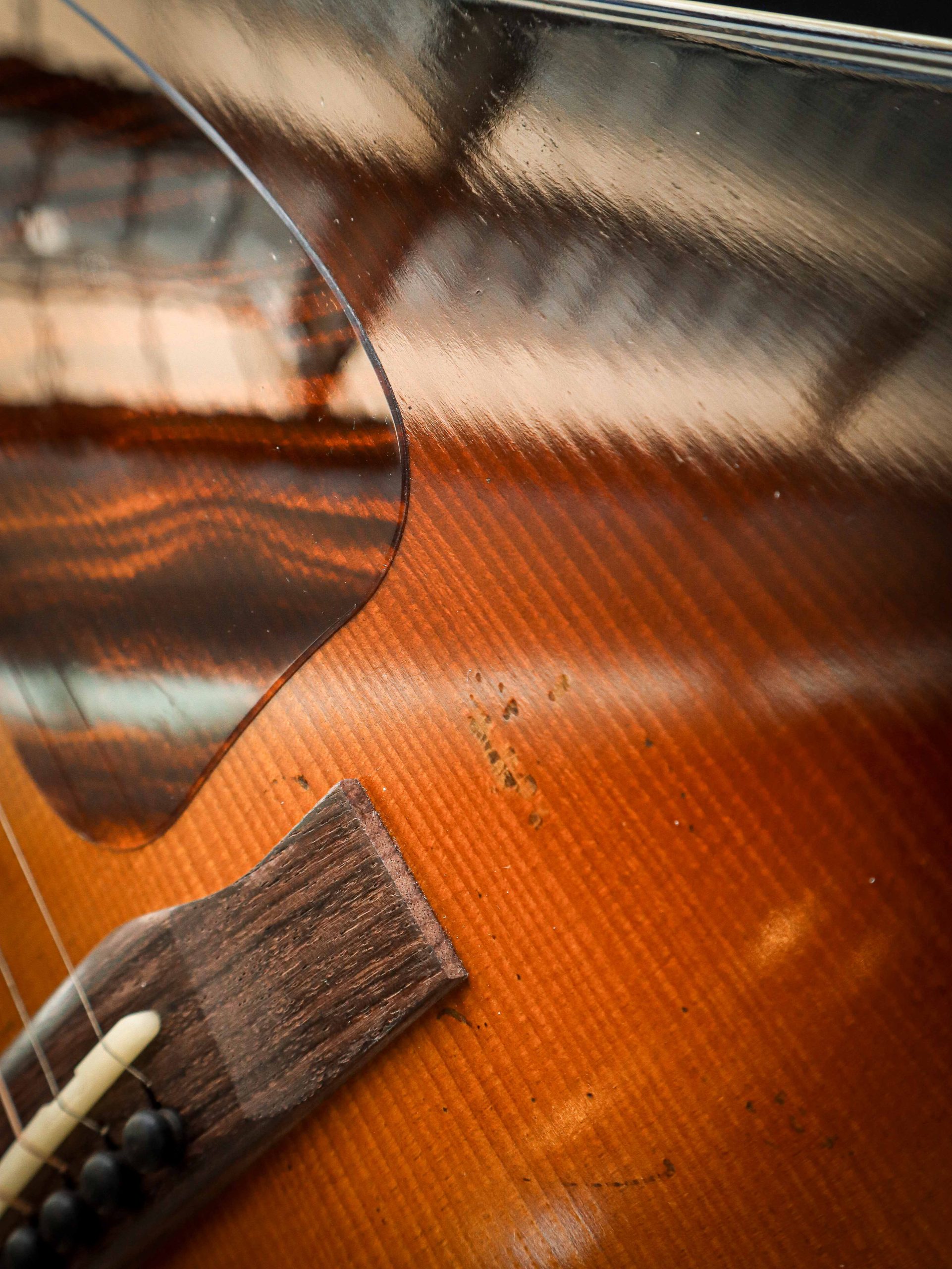 Eastman E22 SS/v - Afbeelding 8