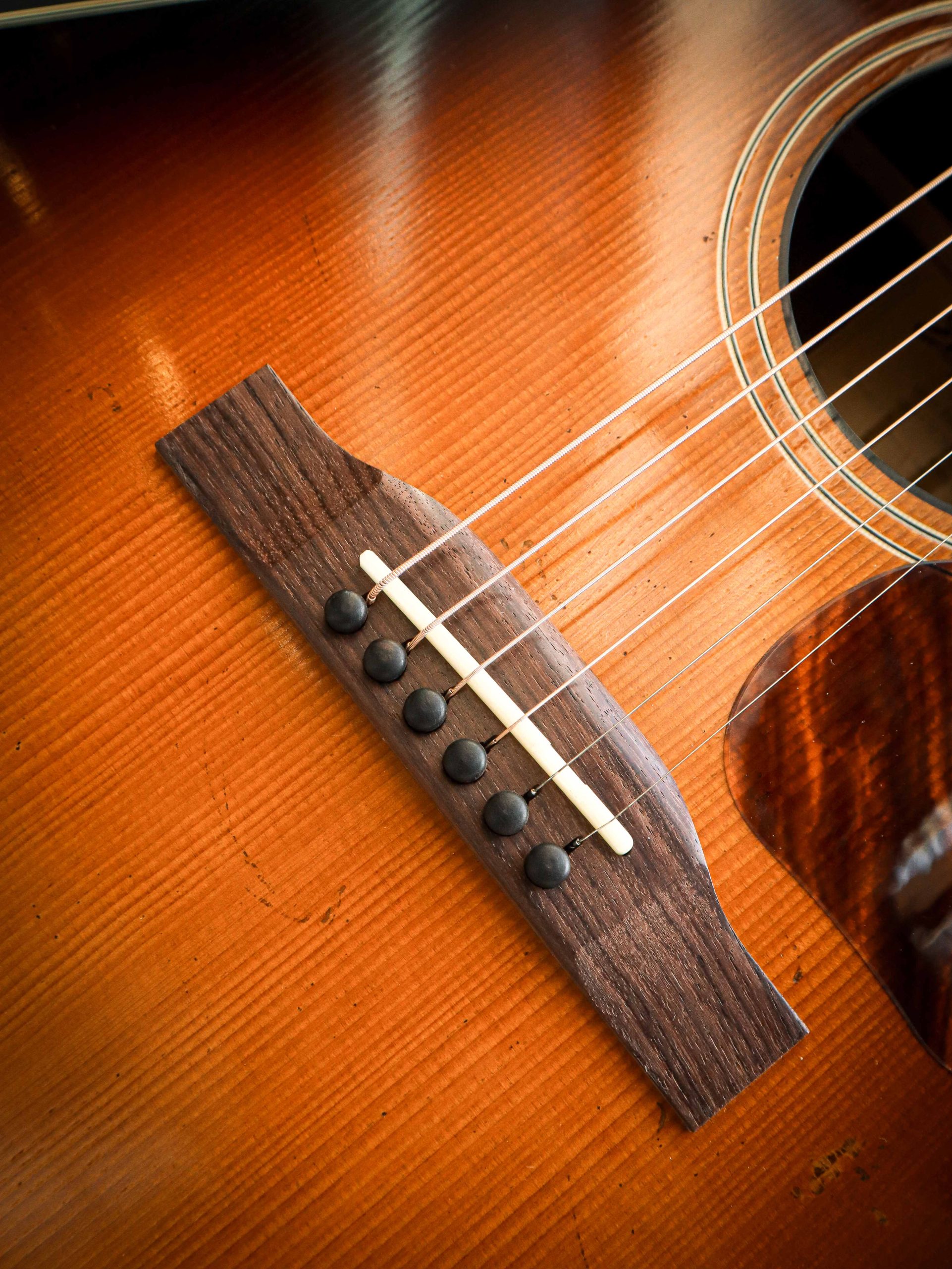 Eastman E22 SS/v - Afbeelding 7